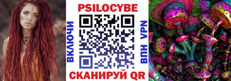 сколько стоит  Пойковский  Галлюциногенные грибы Psilocybe 